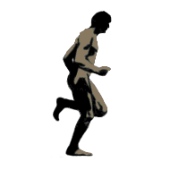 corridore